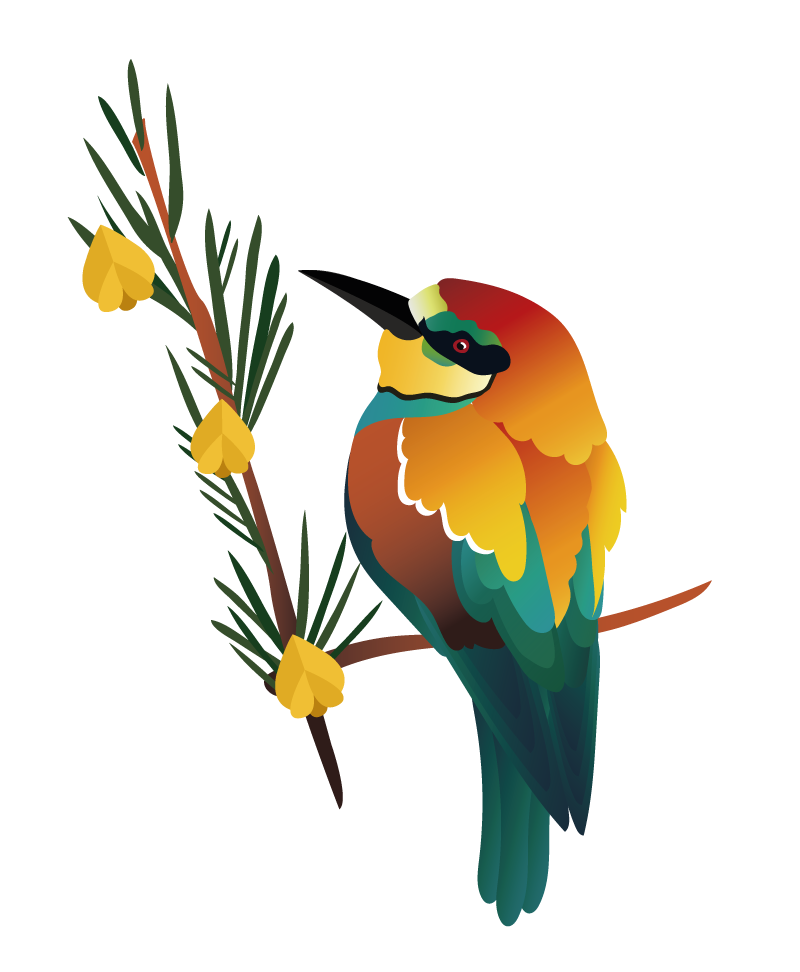 Kéfir&Co - Bouteilles colorées oiseaux