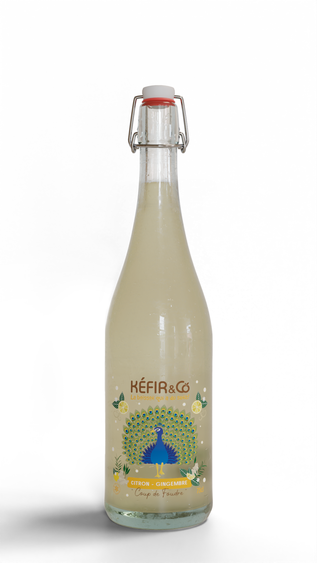 Pack Citron / Gingembre - 6x75cl