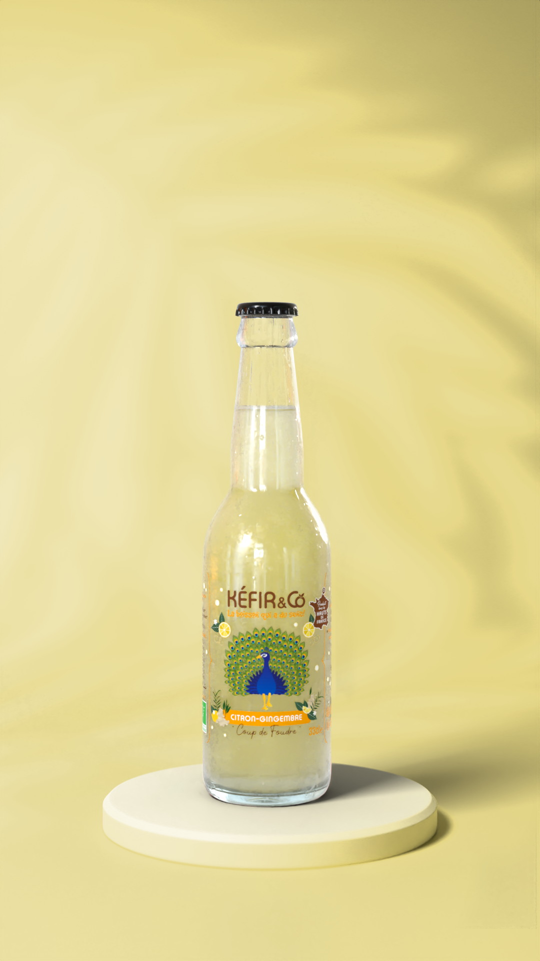 Pack Citron / Gingembre - 12x33cl