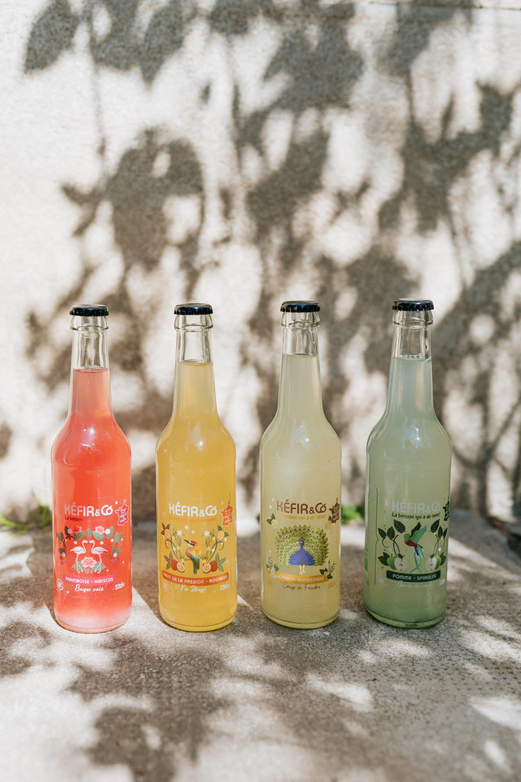 Pack Découverte - 12x33cl – Image 2