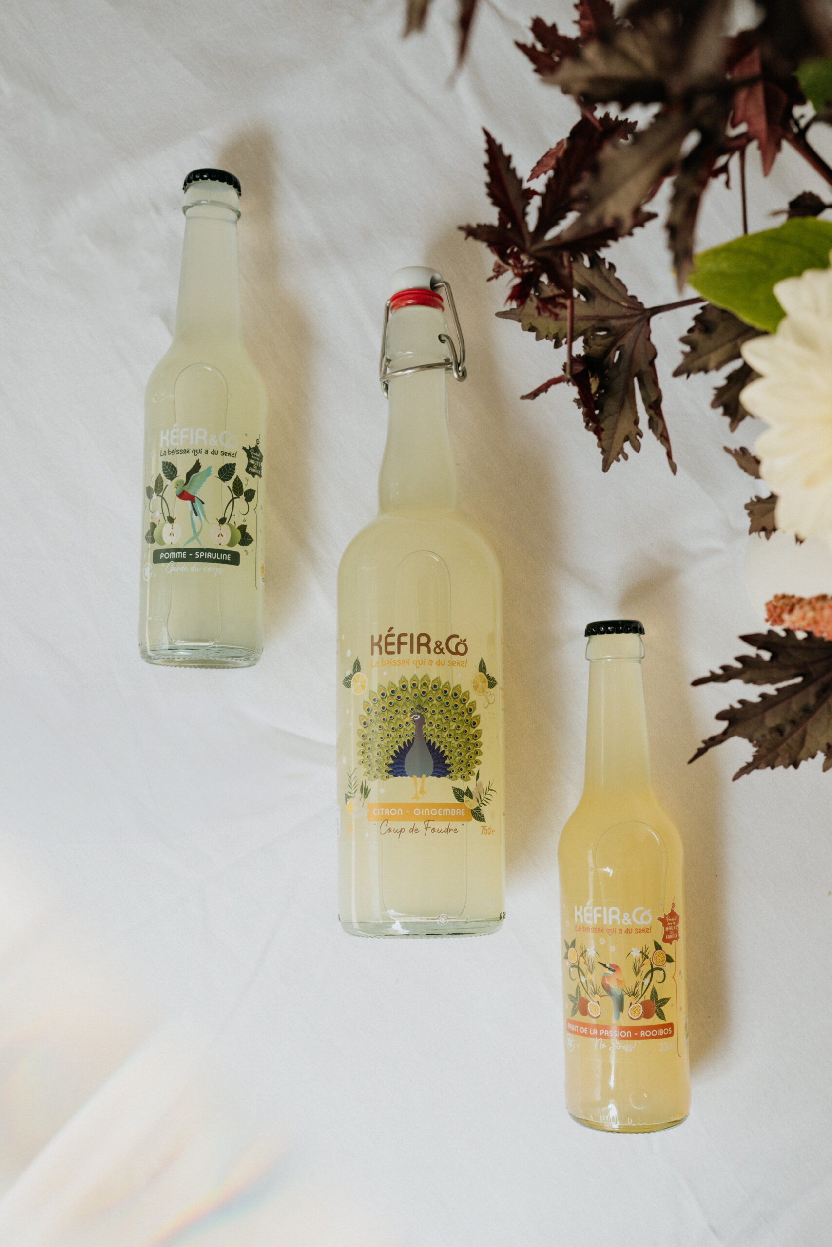 Pack Citron / Gingembre - 6x75cl – Image 4