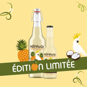 Pack Ananas / Coco - 12x33cl